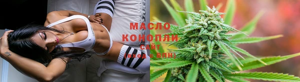 jwh Карпинск