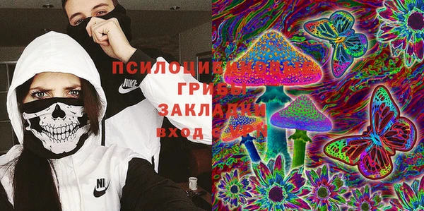 jwh Карпинск