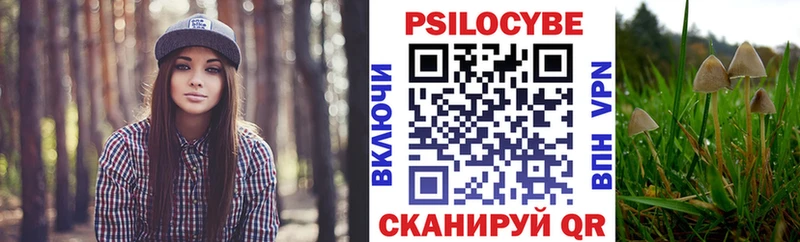 Галлюциногенные грибы Cubensis Любим