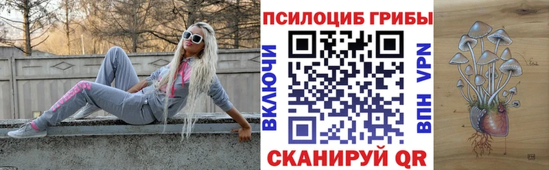 Псилоцибиновые грибы мицелий  Любим 